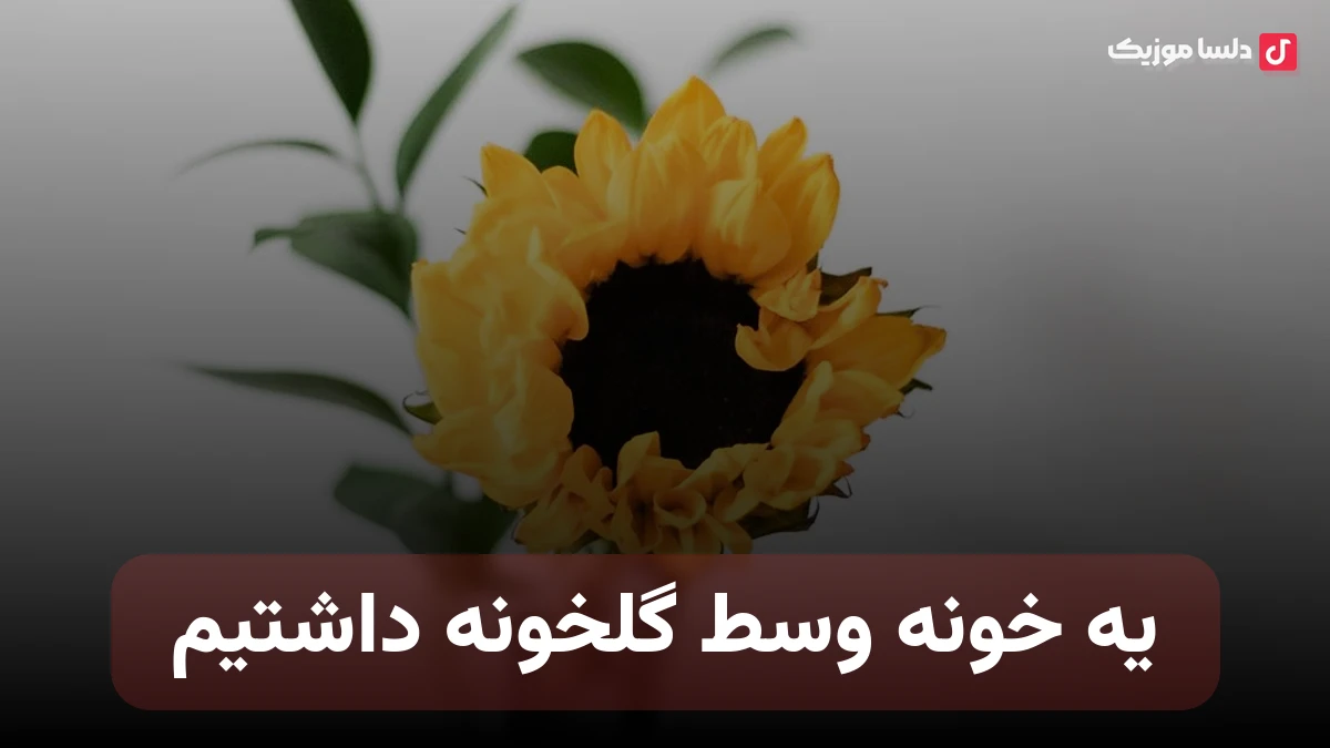 یه خونه وسط گلخونه داشتیم صدای زن از مانلی دیبا